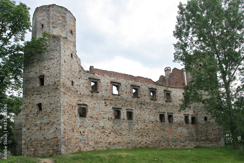 castle ruins in Drzewica, Poland, Europe
