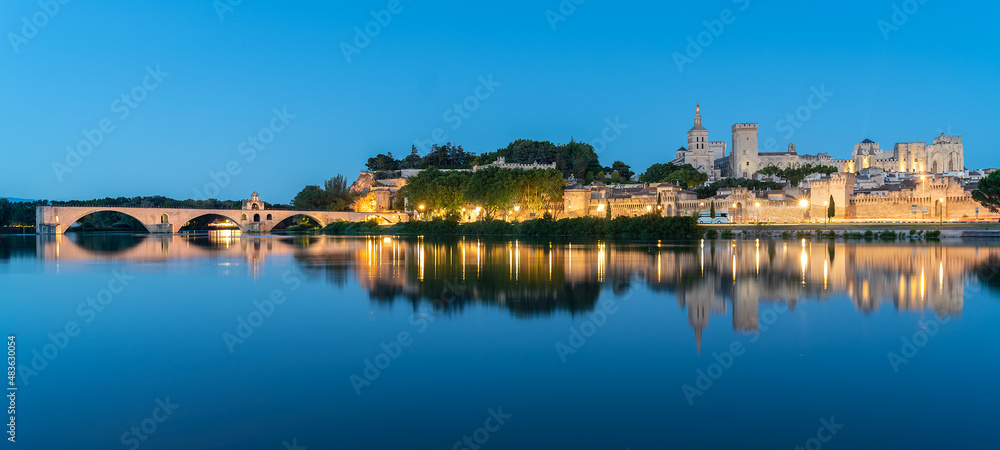 view from the Rhône river the city of Avignon - view from the fortress, bridge  and the Popes Palace.