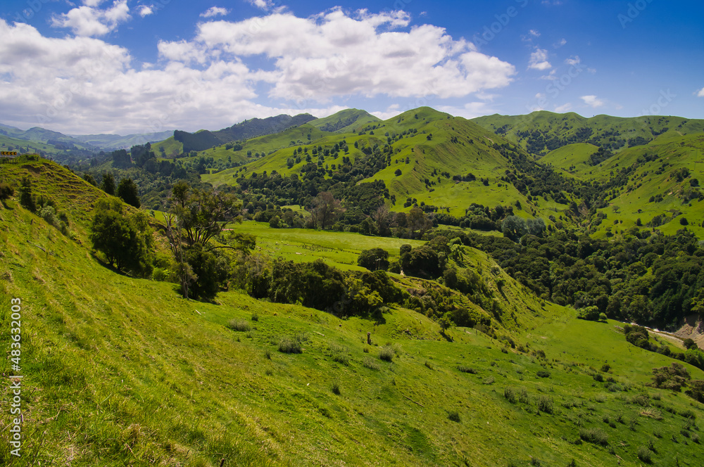 Typical New Zealand scenery, with lush green hills and farmland. Between Opotiki and Gisborne, East Coast, North Island