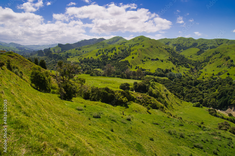 Typical New Zealand scenery, with lush green hills and farmland. Between Opotiki and Gisborne, East Coast, North Island Typical New Zealand scenery, with lush green hills and farmland. Between Opotiki and Gisborne, East Coast, North Island