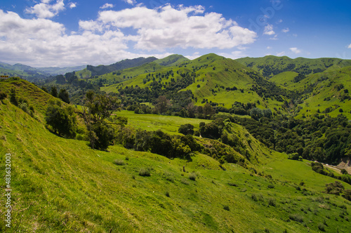 Typical New Zealand scenery  with lush green hills and farmland. Between Opotiki and Gisborne  East Coast  North Island