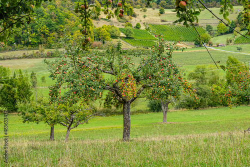 Naturpark-Stromberg-Heuchelberg photo