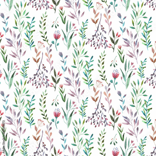 Delicate watercolor pattern, botanical illustration on a white background