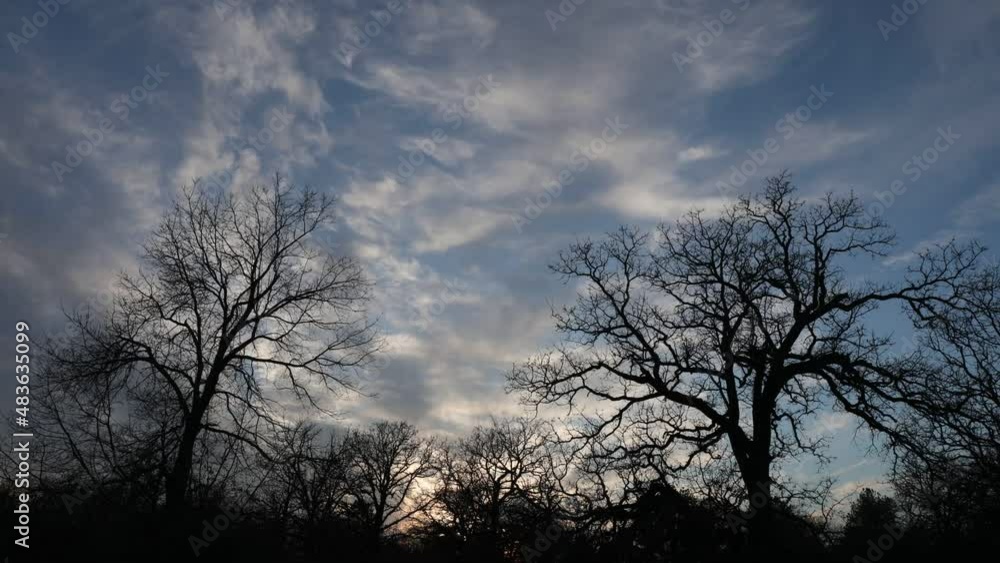 A time lapse video of cloud movement above the trees at sunset. A time lapse video of cloud movement above the trees at sunset.