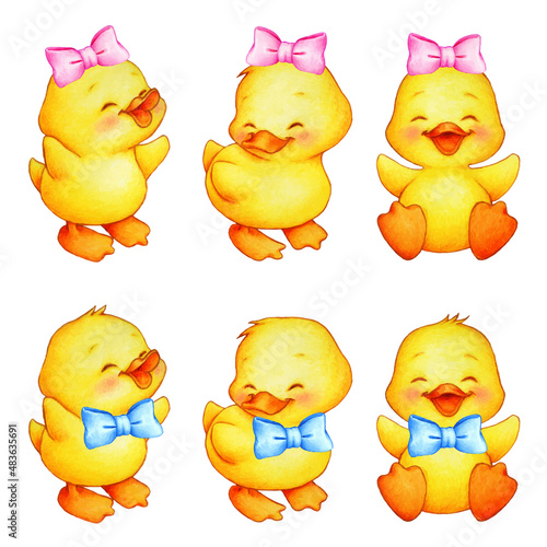 illustration of set of baby ducklings