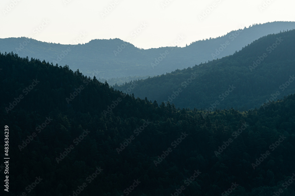 Layered tree-covered mountains in early morning mist Layered tree-covered mountains in early morning mist