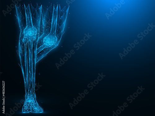 Polygonal vector illustration of human legs. Concept of the anatomical structure of the ankle and knee joints. Futuristic medical banner, template or background.