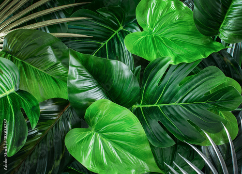 Background of green leaves of plants.