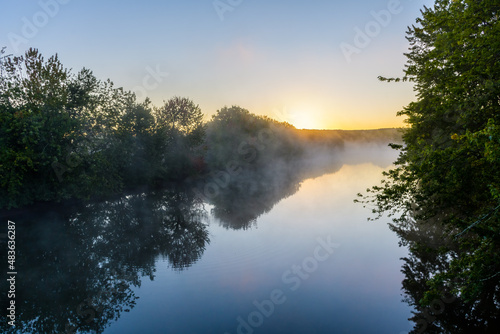Tree lined mist covered calm water at sunrise
