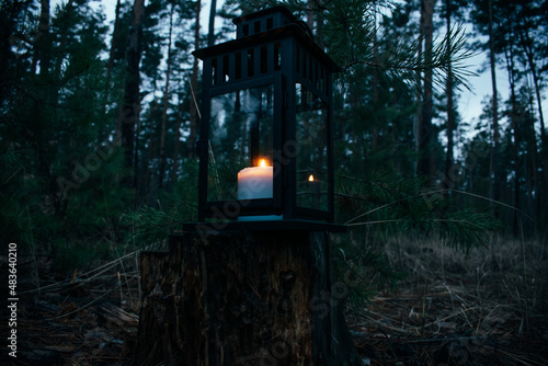 Glowing lantern in the night forest