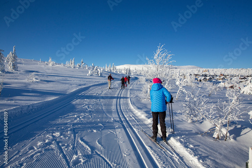 Winter landscape with snow and blue sky in Trysil municipality, Hedmark county,Norway,scandinavia,Europe	 photo