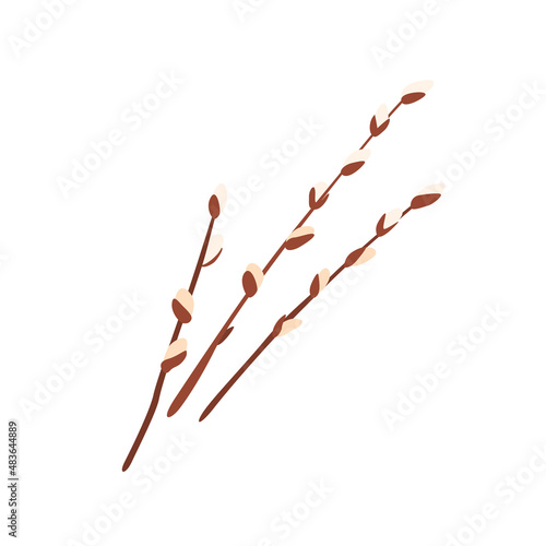 Willow twigs vector illustration isolated on white background in