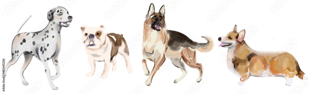 Designer dogs collection isolated on white. Sketch style clipart Designer dogs collection isolated on white. Sketch style clipart
