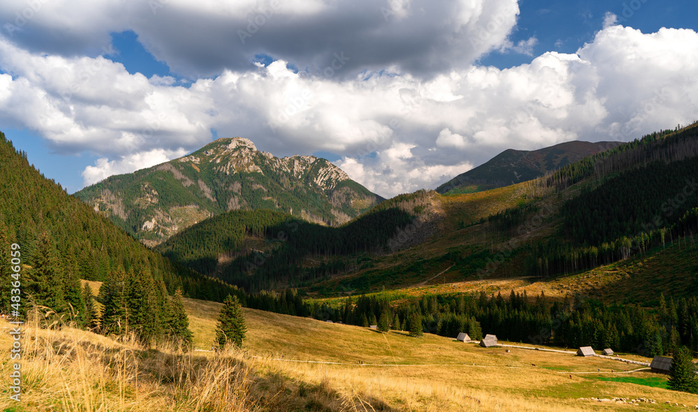Naklejka premium Pieniny, Tatry, Karpaty, Polska, Trzy korony, owce, redyk, dolina gąsienicowa