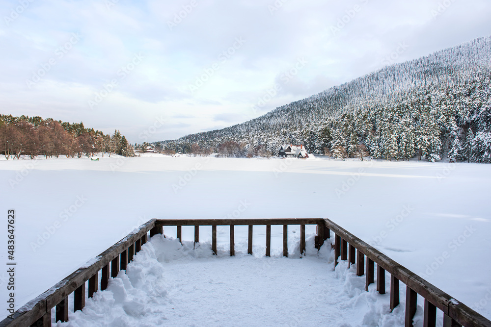 Naklejka premium GOLCUK NATURE PARK in Bolu, Turkey. (Turkish: Golcuk Tabiat Parki). Beautiful winter landscape at Golcuk Lake.