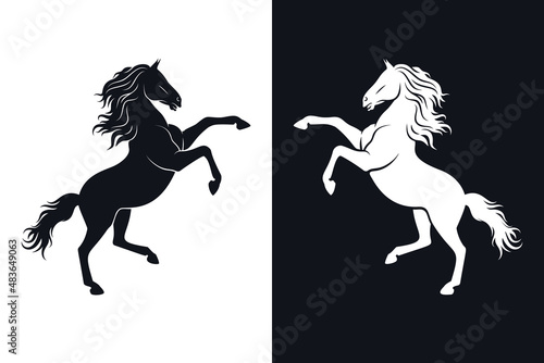 Rearing horse silhouette on light and dark backgrounds