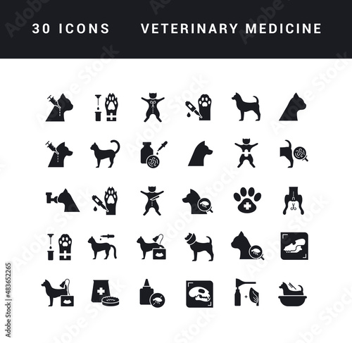 Veterinary Medicine. Collection of perfectly simple monochrome icons for web design, app, and the most modern projects. Universal pack of classical signs for category Medicine.