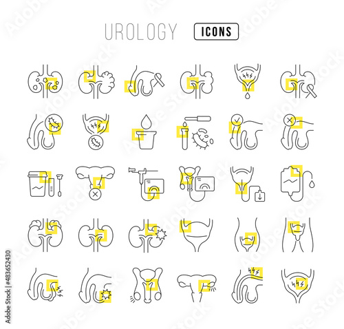 Urology. Collection of perfectly thin icons for web design, app, and the most modern projects. The kit of signs for category Medicine.