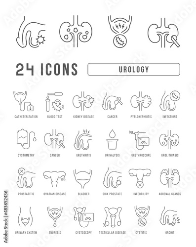 Urology. Collection of perfectly thin icons for web design, app, and the most modern projects. The kit of signs for category Medicine.