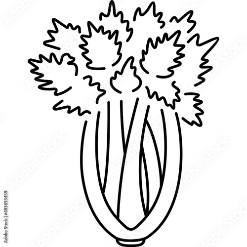 Fresh vegetable celery