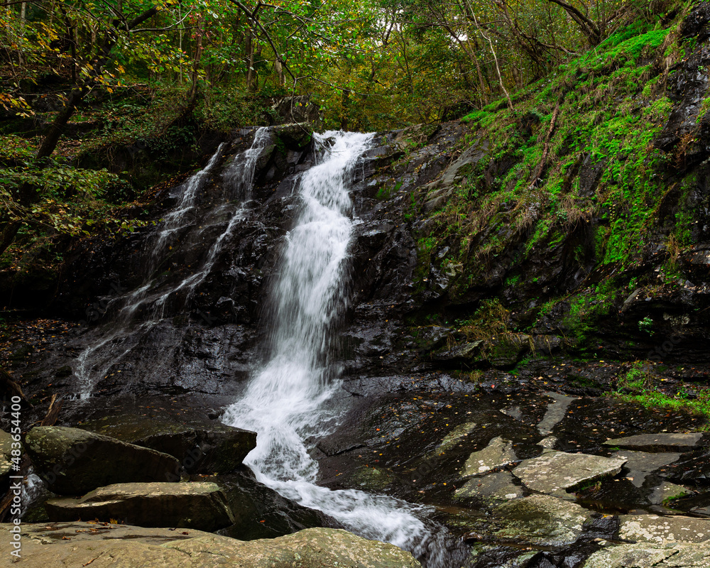 waterfall in the forest waterfall in the forest