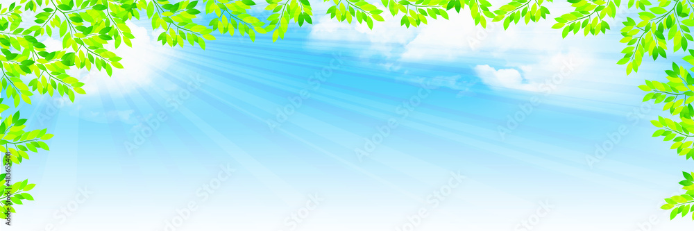 新緑 葉 風景 背景 新緑 葉 風景 背景