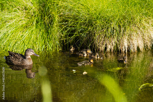 Botanischer Garten Hamburg Klein Flottbek