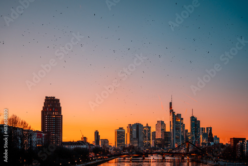 Frankfurt Skyline during the sunset