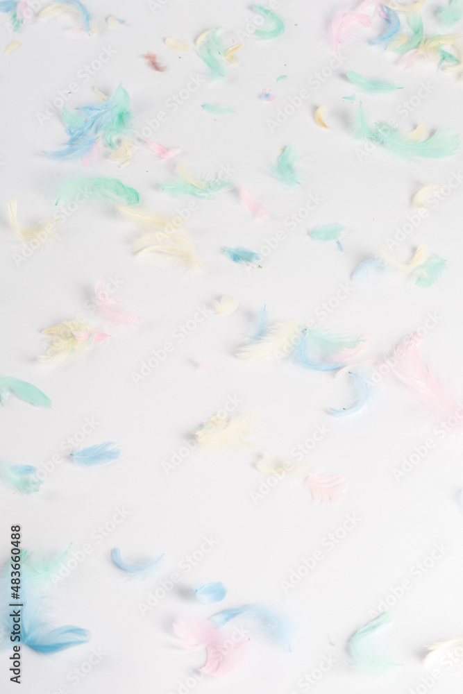 small colored feathers, on a white background, there is a place for text. Top view Easter concept