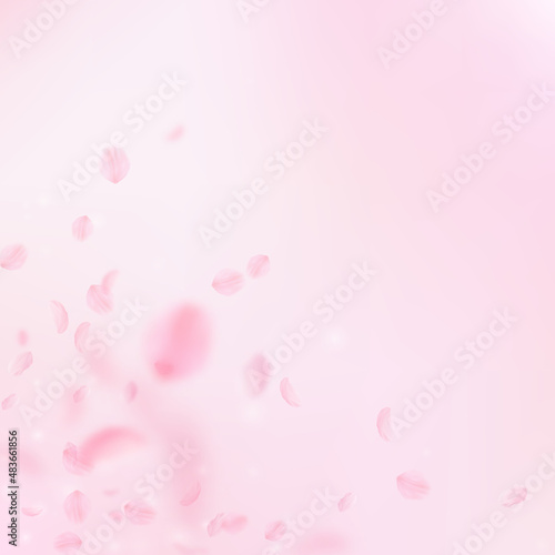 Sakura petals falling down. Romantic pink flowers corner. Flying petals on pink square background. Love, romance concept. Attractive wedding invitation.