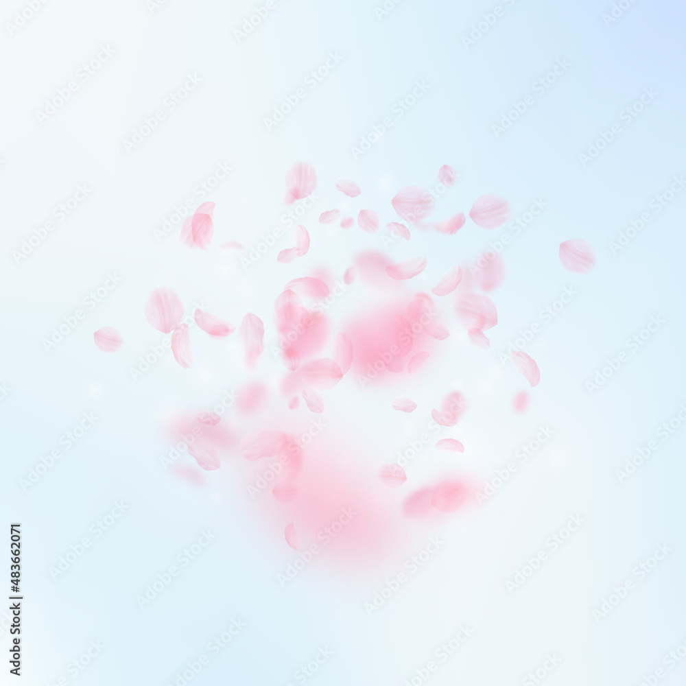 Sakura petals falling down. Romantic pink flowers explosion. Flying petals on blue sky square background. Love, romance concept. Eminent wedding invitation.