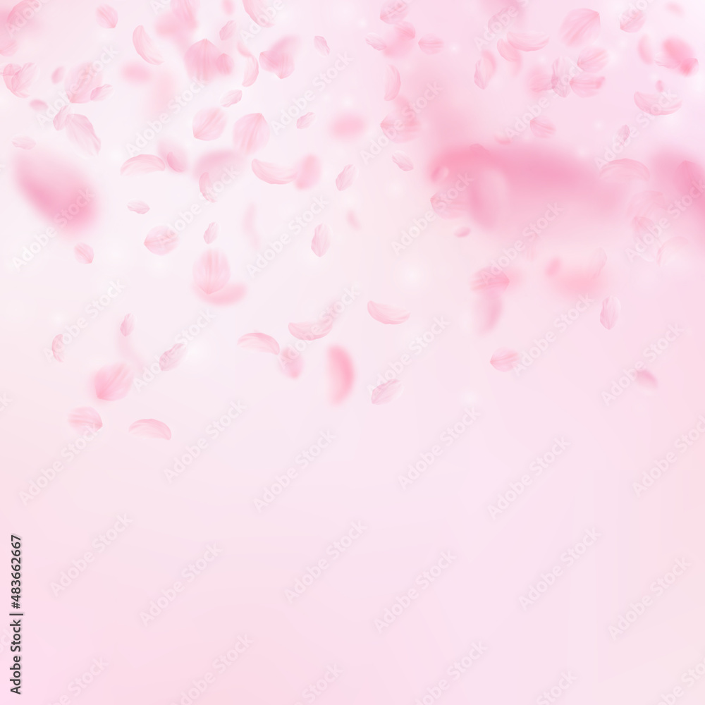 Sakura petals falling down. Romantic pink flowers gradient. Flying petals on pink square background. Love, romance concept. Quaint wedding invitation.