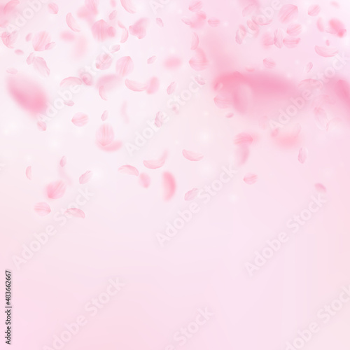 Sakura petals falling down. Romantic pink flowers gradient. Flying petals on pink square background. Love, romance concept. Quaint wedding invitation.