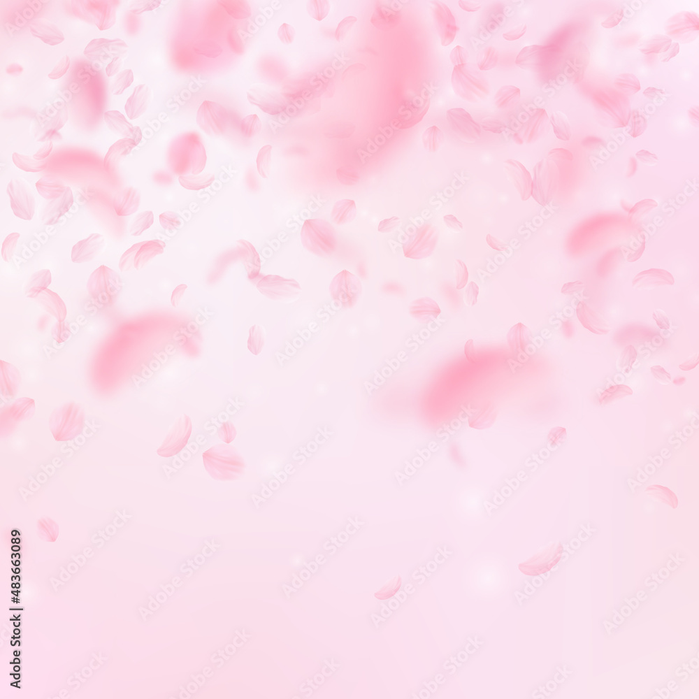 Sakura petals falling down. Romantic pink flowers falling rain. Flying petals on pink square background. Love, romance concept. Good-looking wedding invitation.