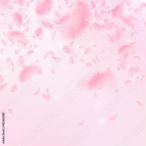 Sakura petals falling down. Romantic pink flowers falling rain. Flying petals on pink square background. Love, romance concept. Good-looking wedding invitation.