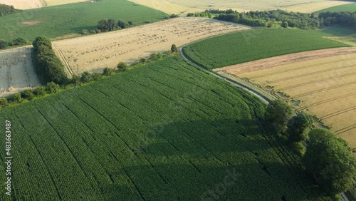 Panoramic aerial dron view of agricultural fields and green meadows. 