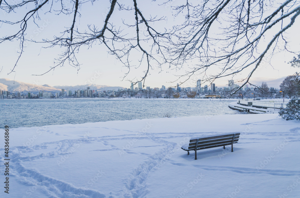 Landscape in Vancouver in Snow