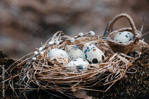 Nest with quail eggs and willow trees, Easter basket with a single egg, blurred background