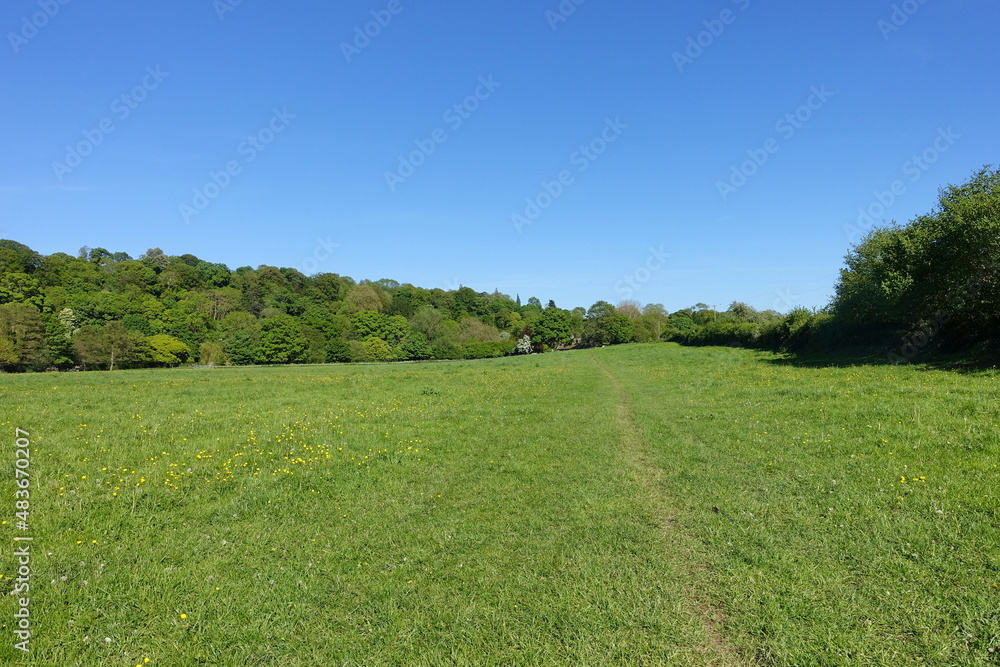 Scenic View of a Green Field Surrounded by Leaf Trees and a Blue Sky Above Scenic View of a Green Field Surrounded by Leaf Trees and a Blue Sky Above