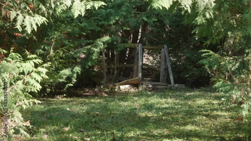 A shot under the heavy forest foliage: a wooden bridge over a stream is revealed A shot under the heavy forest foliage: a wooden bridge over a stream is revealed