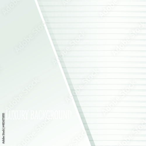 White luxury background. Vector illustration.