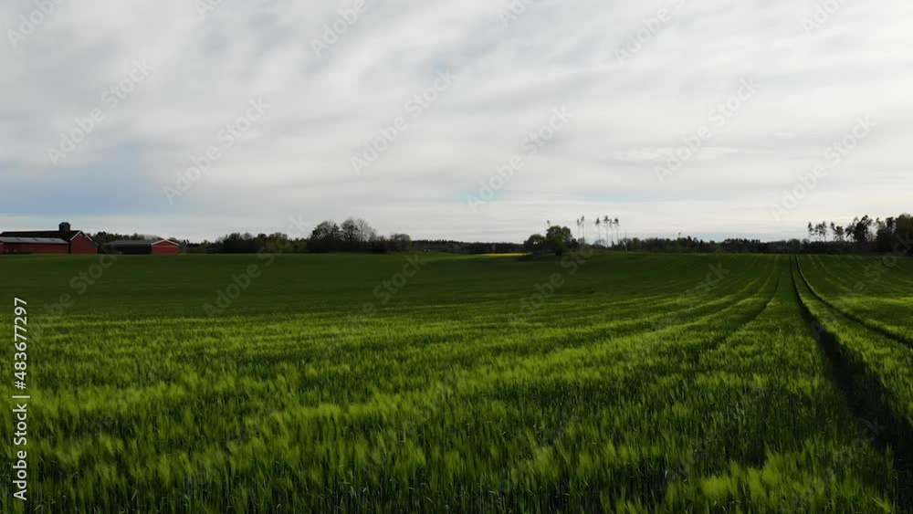 Flying over green fields in the summer.