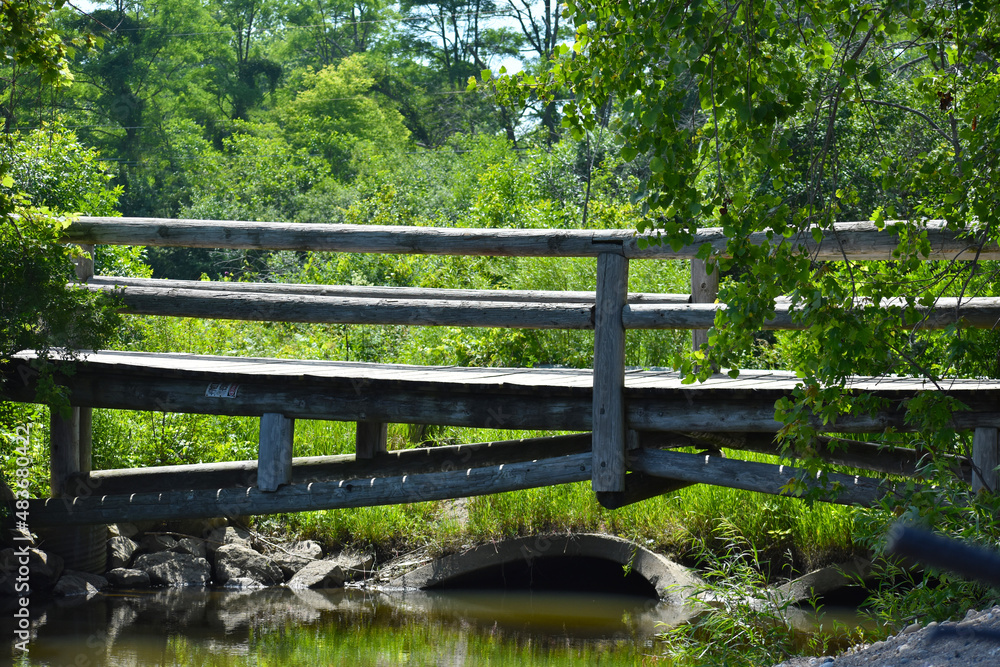 Wooden Bridge in Forest 