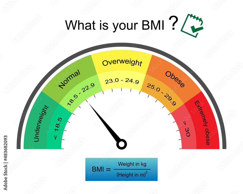 Adult body mass index range infographic inspeedometer with weight status from underweight to extremely obese with BMI calculator.Medical healthcare concept.what is your BMI.Vector.Illustration. - obrazy, fototapety, plakaty 