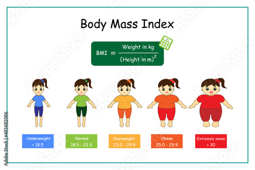 Chart of adult body mass index range with weight status from underweight to extremely obese with BMI calculator and cartoon women.Medical healthcare concept.Vector.Illustration. photo