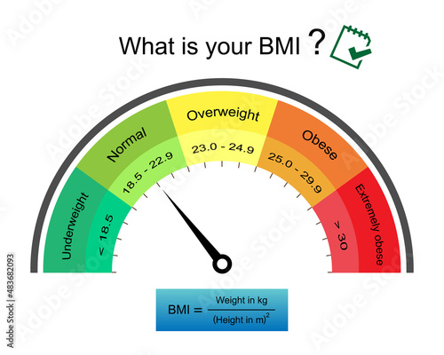 Adult body mass index range infographic inspeedometer with weight status from underweight to extremely obese with BMI calculator.Medical healthcare concept.what is your BMI.Vector.Illustration. photo