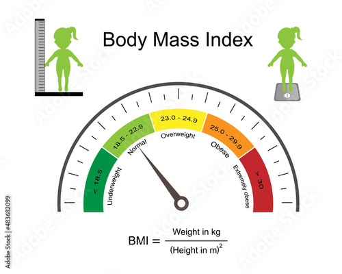 Body mass index infographic in speedometer with weight status from underweight to extremely obese isolated on white background.BMI calculator.Medical healthcare concept.Vector.Illustration.