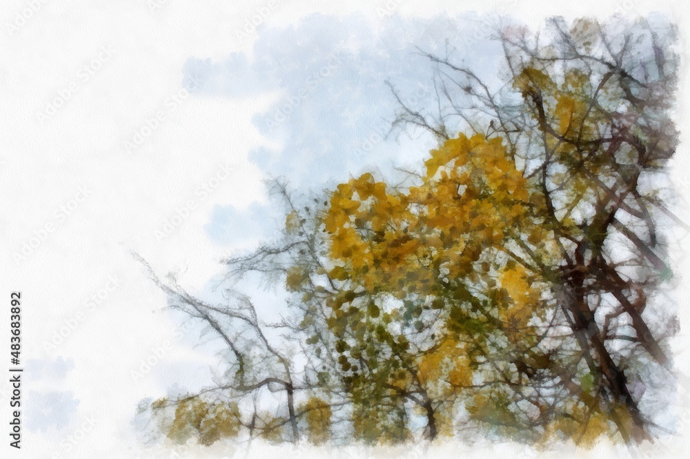 Ratchaphruek tree with a large bunch of yellow flowers. watercolor style illustration impressionist painting. Ratchaphruek tree with a large bunch of yellow flowers. watercolor style illustration impressionist painting.
