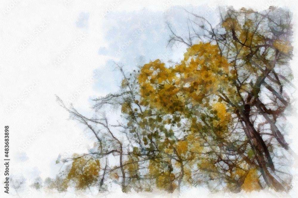 Ratchaphruek tree with a large bunch of yellow flowers. watercolor style illustration impressionist painting. Ratchaphruek tree with a large bunch of yellow flowers. watercolor style illustration impressionist painting.