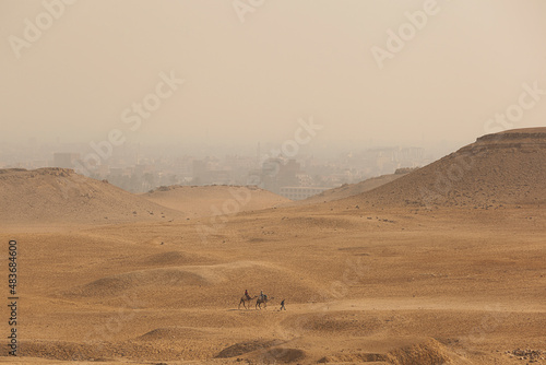 camels in the desert, desert sands, egypt © lokisurina
